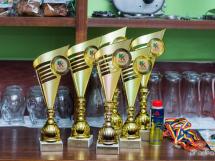 Concurs De Karting 1201