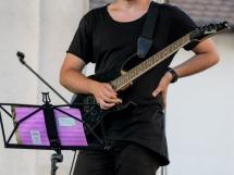 Concert Lupus Dacus 31