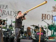 Concert Lupus Dacus 39