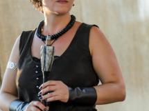 Concert Lupus Dacus 7