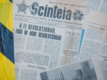 Panic Room Galerie De Local 31