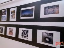 Ovidpop Art Photo Gallery 21