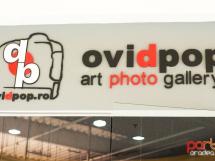 Ovidpop Art Photo Gallery 2