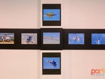 Ovidpop Art Photo Gallery 41