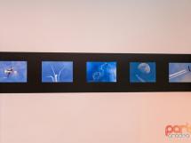 Ovidpop Art Photo Gallery 42