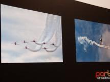 Ovidpop Art Photo Gallery 47