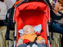 Distractie La Hotel International 311