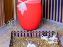 Ziua De Pasti La Hotel International 5