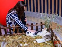 Ziua De Pasti La Hotel International 7