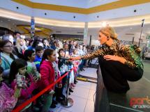 Concert Feli And Band 165