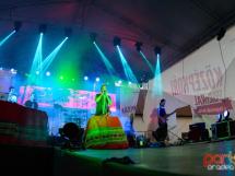 Concert Subcarpati 24