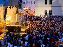 Concert Subcarpati 61