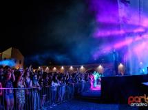 Concert Subcarpati 71