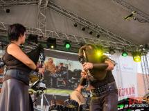 Concert Lupus Dacus 14