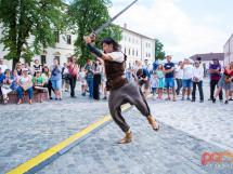 Concert Lupus Dacus 20