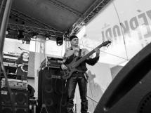 Concert Lupus Dacus 39