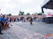 Concert Lupus Dacus 41