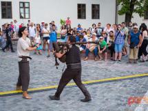 Concert Lupus Dacus 52