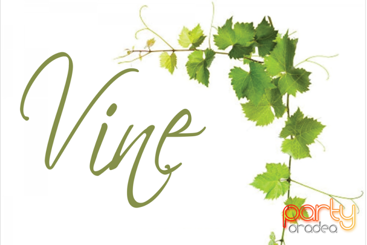 Vine Summer Garden & Grill